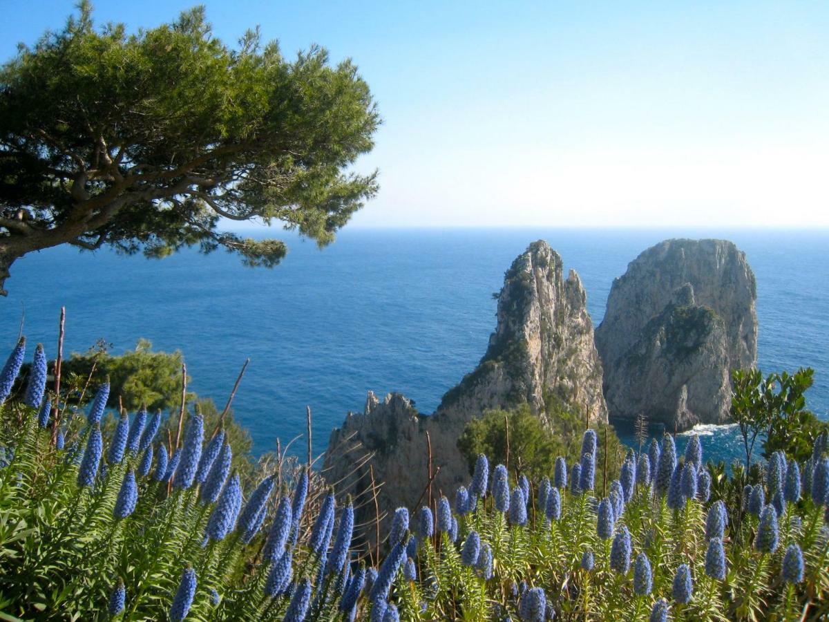 Casa Giovanna Κάπρι Εξωτερικό φωτογραφία